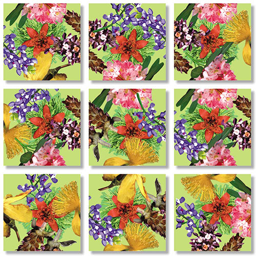 American Native Flowers  - Scramble Squares Perhaps the worlds most challenging 9-piece brainteaser puzzles 1998 new sealed (Copy) (Copy)