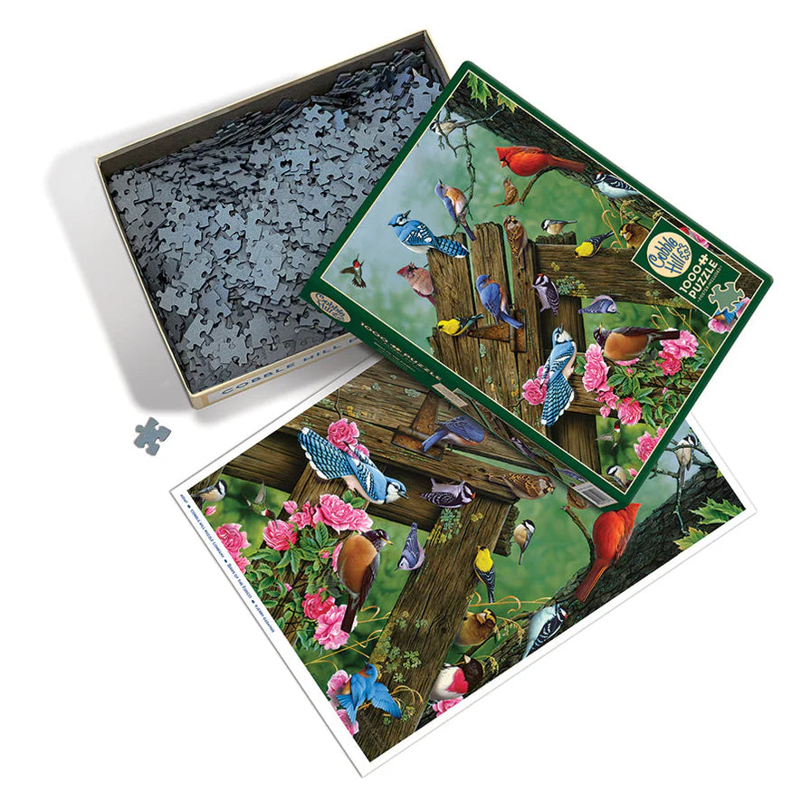 Cobble Hill "Birds Of The Forest" 1000 Piece Puzzle W/Poster New Factory Sealed