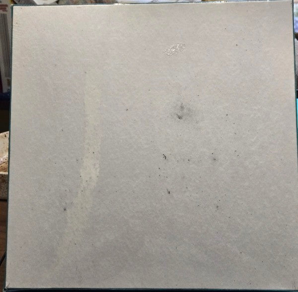 SUNSOUT IN HIS HANDS 1000 PC PUZZLE BIRDS EATING IN JESUS HANDS MATHEW 10:31 NEW SEALED