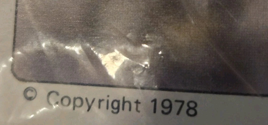 VTG 1978 HAYSTACKER KITS FOR KIDS CHARLIE RACCOON SEWING CRAFT FOR AGES 6-13 NIP