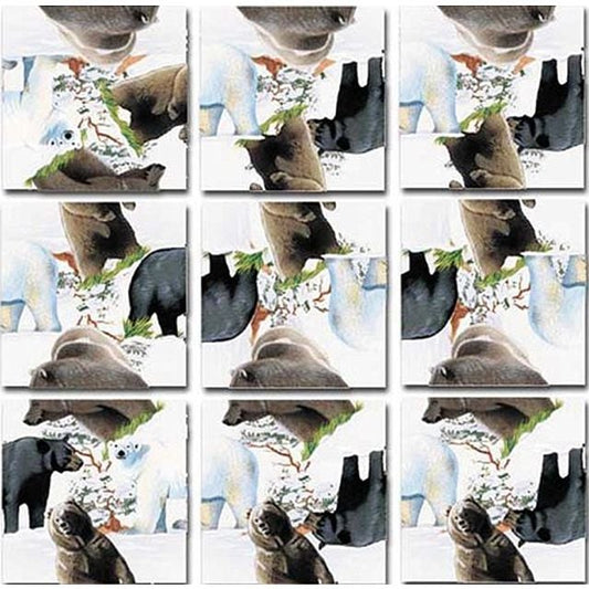 BEARS - Scramble Squares Perhaps the worlds most challenging 9-piece brainteaser puzzles 1998 new sealed