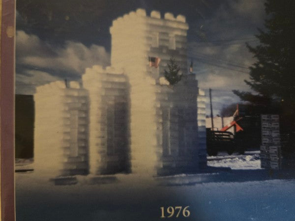 Eagle River, WI Ice Castles 1947, 1957, 1976, 1995 550-Piece Jigsaw Puzzle Sealed Dent Back