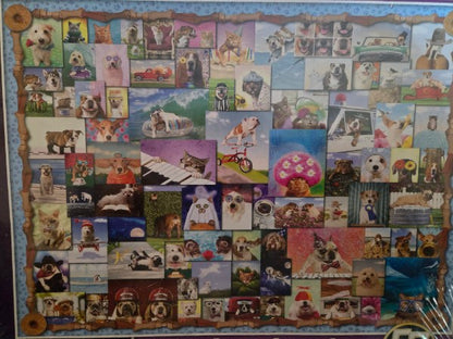 Springbok 1000 Piece Jigsaw Puzzle Animal Quackers Factory Sealed Animals Dogs Cats