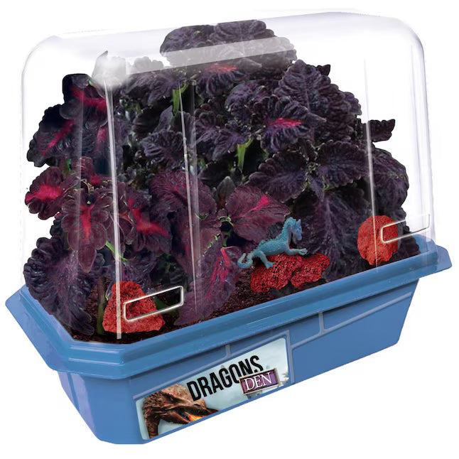 Toys by Nature Dragons Den Grow Your Own Lair Black Dragon Coleus Plant Kit Toy