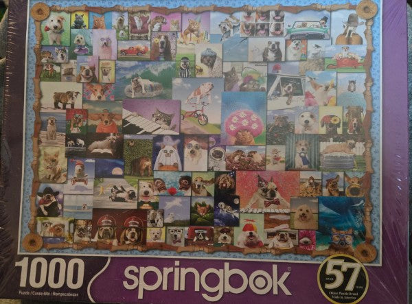 Springbok 1000 Piece Jigsaw Puzzle Animal Quackers Factory Sealed Animals Dogs Cats