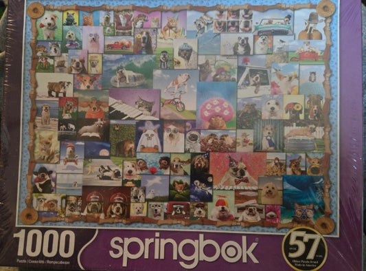 Springbok 1000 Piece Jigsaw Puzzle Animal Quackers Factory Sealed Animals Dogs Cats