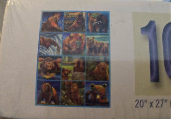 Bits & Pieces 1000 Pc Jigsaw Puzzle Grizzly Bear Quilt Art Nancy Cawdrey Sealed