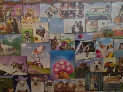Springbok 1000 Piece Jigsaw Puzzle Animal Quackers Factory Sealed Animals Dogs Cats