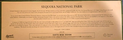 Sequoia National Park Panoramic Jigsaw Puzzle 500+ Pc General Sherman Tree NEW sealed