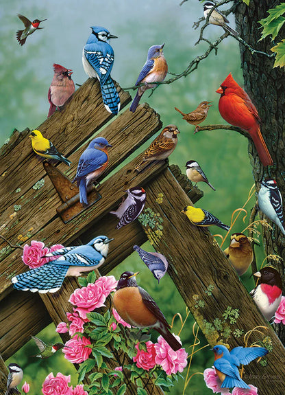 Cobble Hill "Birds Of The Forest" 1000 Piece Puzzle W/Poster New Factory Sealed