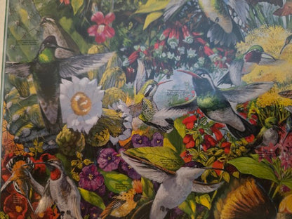 White Mountain Puzzles Hummingbirds 1000 Piece Jigsaw Puzzle 24x30 Vintage 2005
