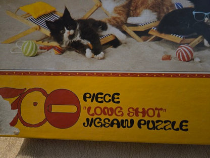 Vintage 1999 Ceaco Cat-Ching Rays 700 Piece Jigsaw Puzzle Sealed Cats Beach