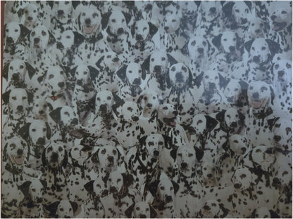 World's Most Difficult Jigsaw Puzzle Dalmatians 529 Pc Double Sided Sealed