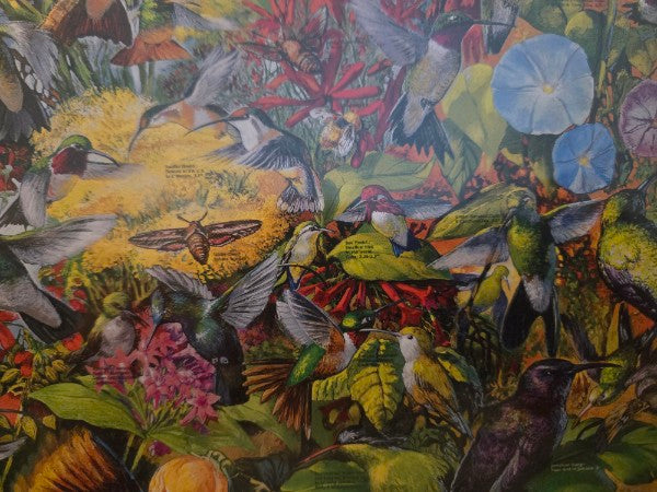White Mountain Puzzles Hummingbirds 1000 Piece Jigsaw Puzzle 24x30 Vintage 2005