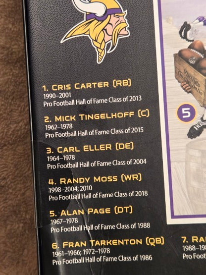 Minnesota Vikings NFL All-Time Greats 500-Piece Jigsaw Puzzle - MasterPieces