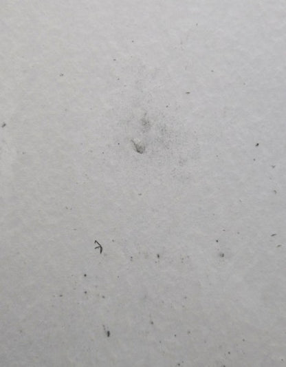 SUNSOUT IN HIS HANDS 1000 PC PUZZLE BIRDS EATING IN JESUS HANDS MATHEW 10:31 NEW SEALED