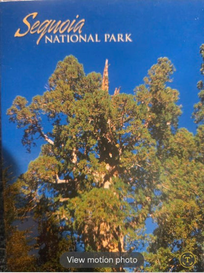 Sequoia National Park Panoramic Jigsaw Puzzle 500+ Pc General Sherman Tree NEW sealed
