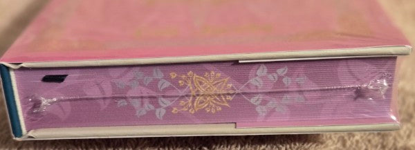 THE PRINCESS KNIGHT Cait Jacobs LitJoy Special Edition - SIGNED - Factory Sealed