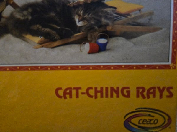 Vintage 1999 Ceaco Cat-Ching Rays 700 Piece Jigsaw Puzzle Sealed Cats Beach