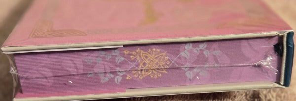 THE PRINCESS KNIGHT Cait Jacobs LitJoy Special Edition - SIGNED - Factory Sealed