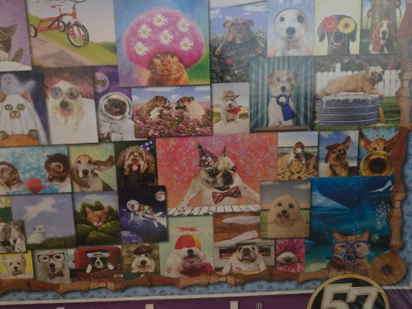 Springbok 1000 Piece Jigsaw Puzzle Animal Quackers Factory Sealed Animals Dogs Cats