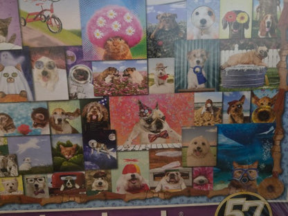 Springbok 1000 Piece Jigsaw Puzzle Animal Quackers Factory Sealed Animals Dogs Cats