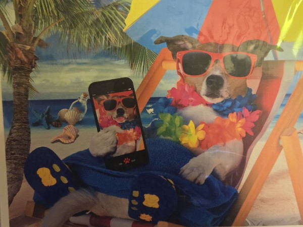 Funny Dog on Beach 1000 Pc Jigsaw Puzzle Travel Puppy Selfie 27x20" NEW Sealed