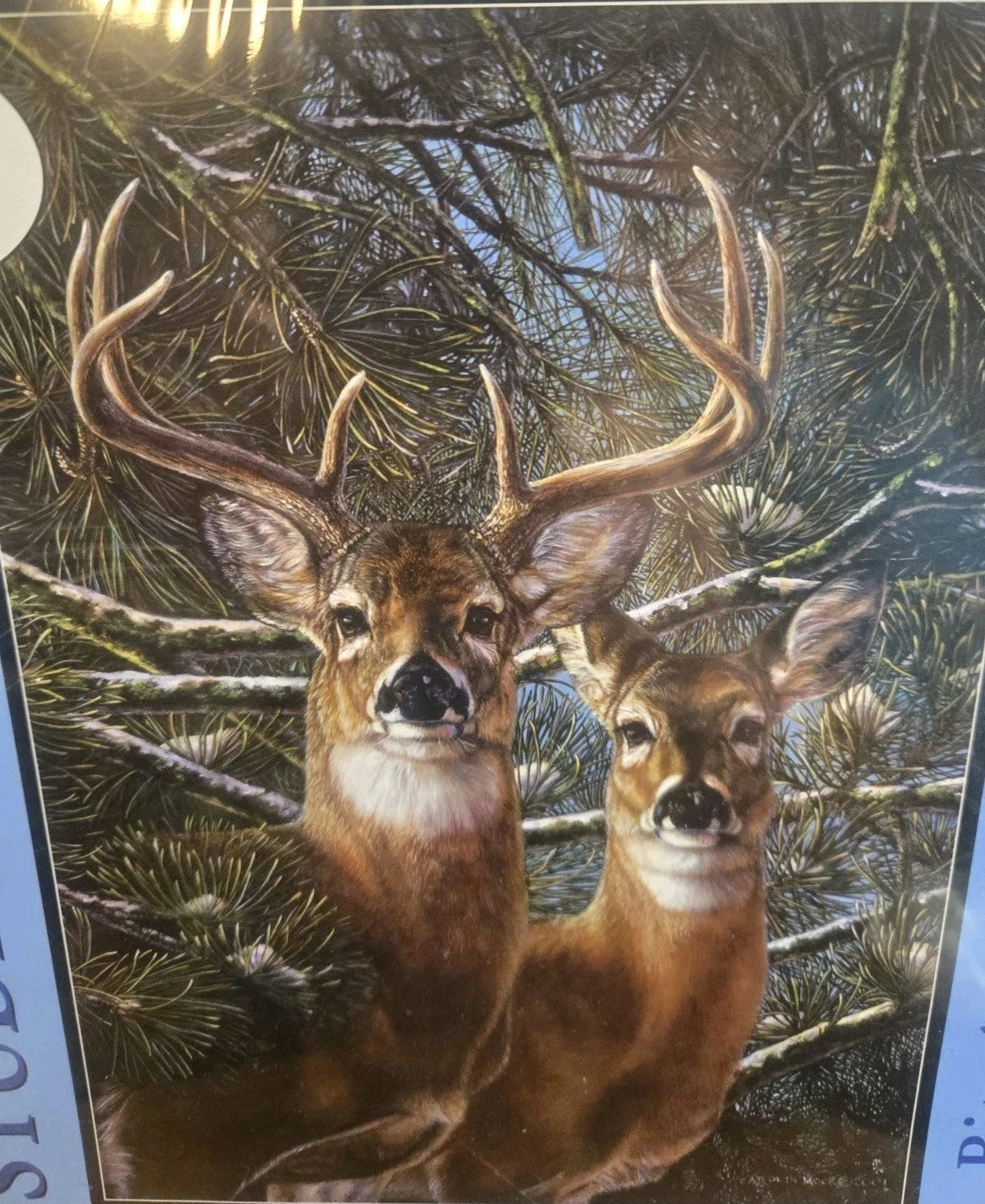 BITS AND PIECES STUDIO PUZZLE AMONG THE PINES BUCK & DOE DEER 1000 PC PUZZLE NIB