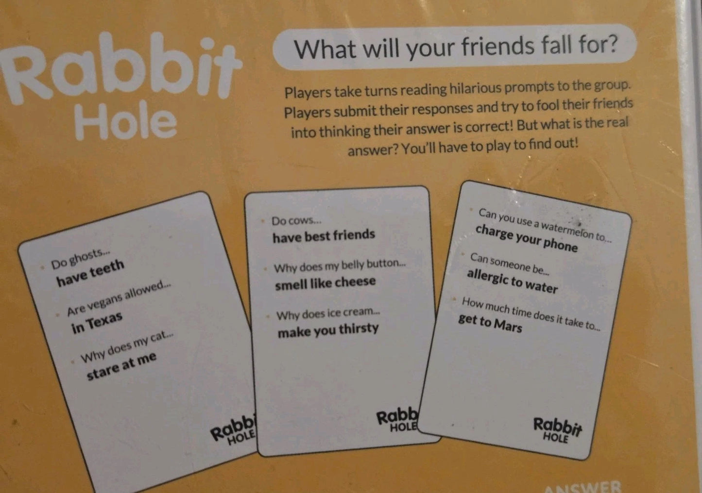 RABBIT HOLE.. WHAT WILL YOUR FRIENDS FALL FOR? FUN FAMILY PARTY GAME FROM DYCE