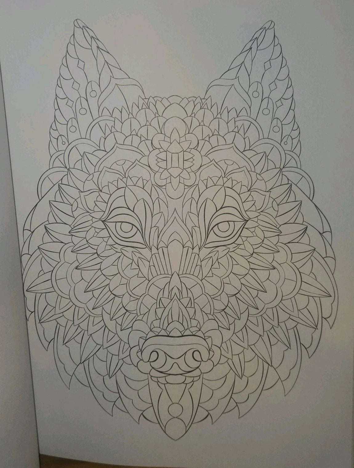 TOPIX MEDIA COLORS OF THE WILD VOL. 18 ADULT COLORING BOOK 47 ANIMAL PRINTS NEW