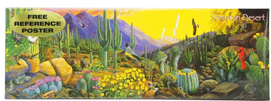 Sonoran Desert 12"x36" 500 pc Panoramic Puzzle w/ Free Reference Poster new sealed
